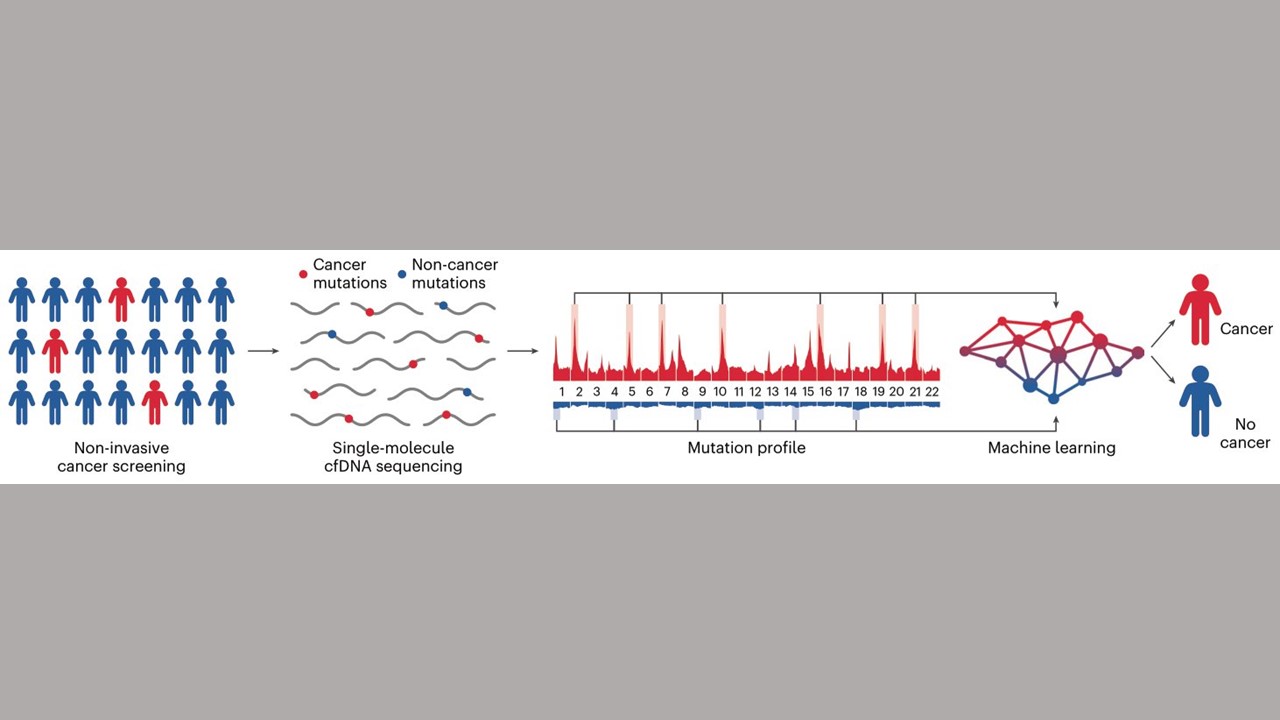 Image: Schematic of GEMINI approach for cancer detection (Photo courtesy of BioScience Communications)